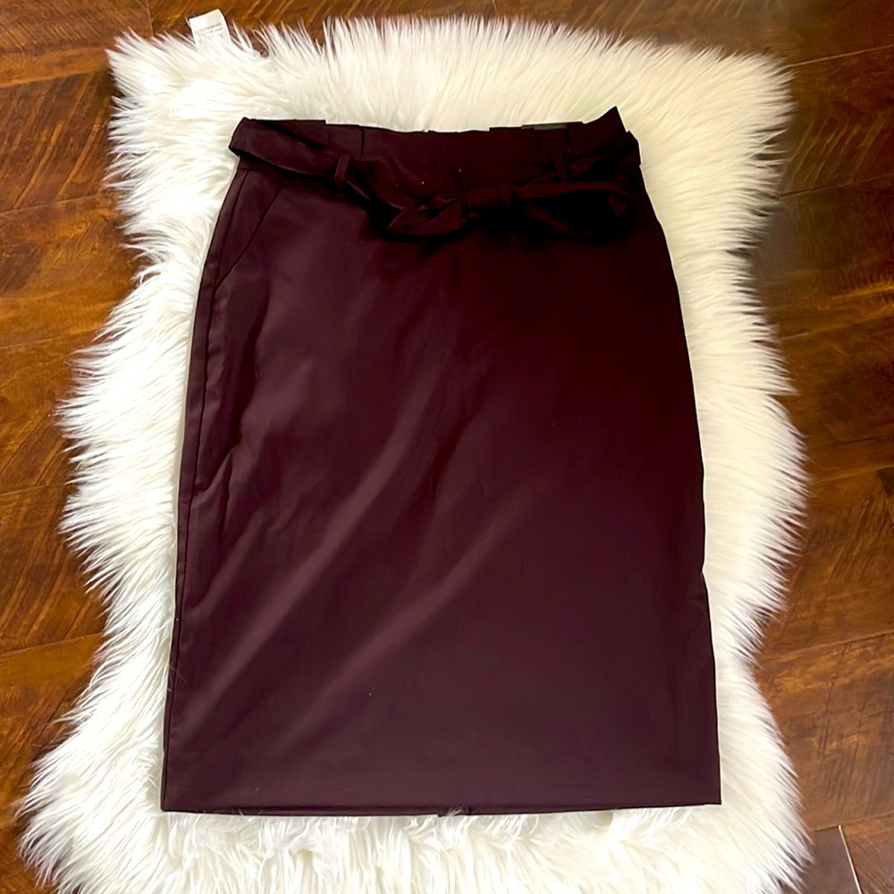 NWT banana republic skirt 2P